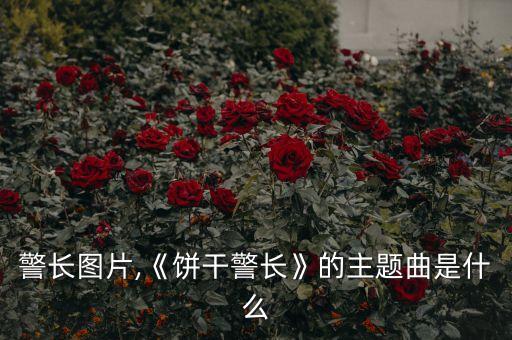 警长图片,《饼干警长》的主题曲是什么