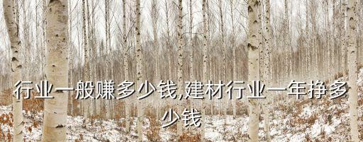 行业一般赚多少钱,建材行业一年挣多少钱