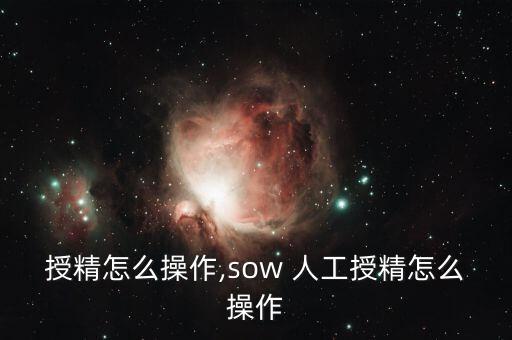 人工授精怎么操作,sow 人工授精怎么操作