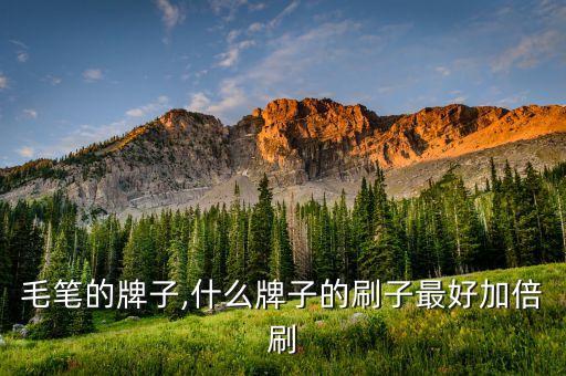 毛笔的牌子,什么牌子的刷子最好加倍刷