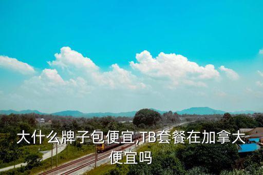 大什么牌子包便宜,TB套餐在加拿大便宜吗
