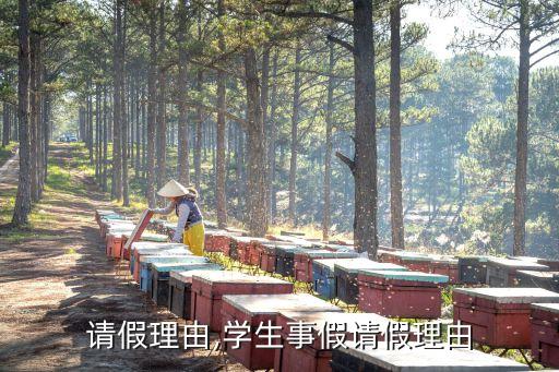 请假理由,学生事假请假理由