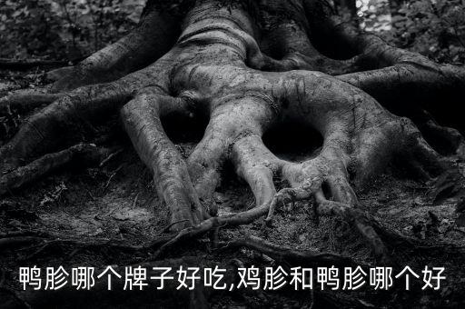 鸭胗哪个牌子好吃,鸡胗和鸭胗哪个好