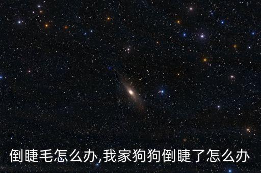 小狗倒睫毛怎么办,我家狗狗倒睫了怎么办?