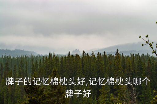 牌子的记忆棉枕头好,记忆棉枕头哪个牌子好
