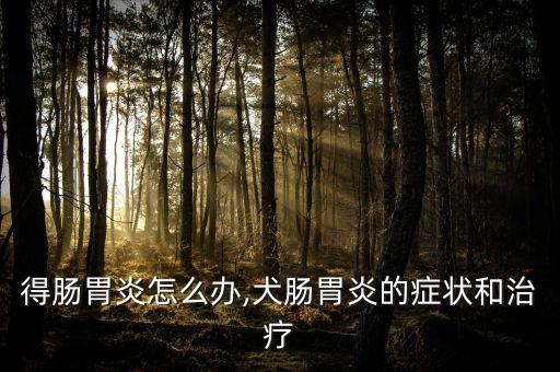 狗狗得肠胃炎怎么办,犬肠胃炎的症状和治疗