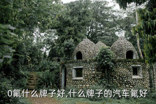 0氟什么牌子好,什么牌子的汽车氟好