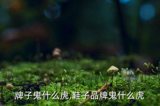 鞋的牌子鬼什么虎,鞋子品牌鬼什么虎