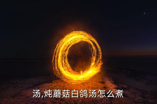 汤,炖蘑菇白鸽汤怎么煮