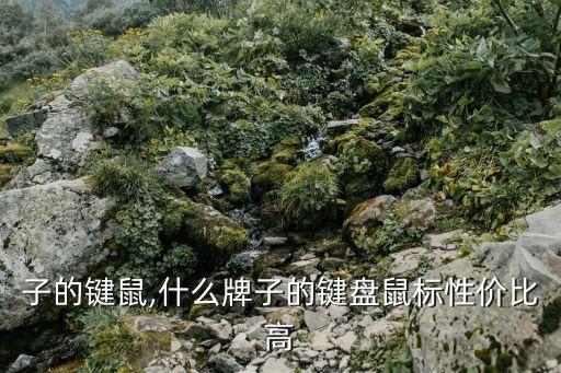大牌子的键鼠,什么牌子的键盘鼠标性价比高?