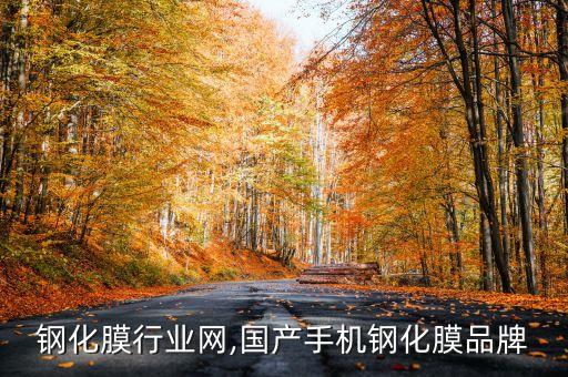 钢化膜行业网,国产手机钢化膜品牌
