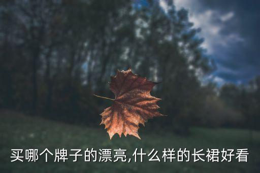 买哪个牌子的漂亮,什么样的长裙好看