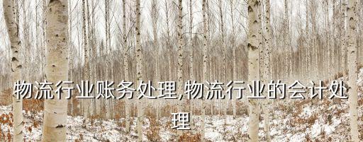 最新物流行业账务处理,物流行业的会计处理