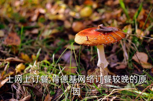 德克士网上订餐,肯德基网络订餐较晚的原因