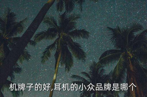 小耳机牌子的好,耳机的小众品牌是哪个?
