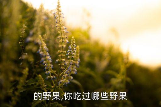 山上的野果,你吃过哪些野果?