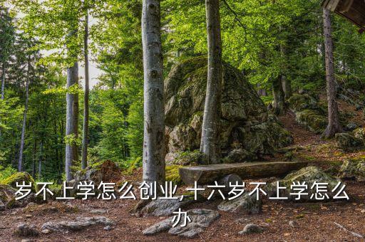 岁不上学怎么创业,十六岁不上学怎么办