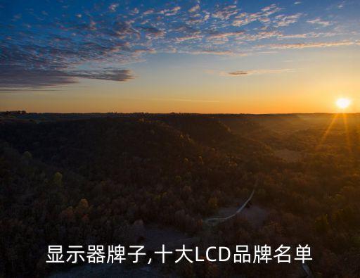 液晶显示器牌子,十大LCD品牌名单