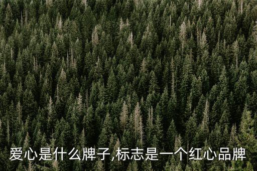 爱心是什么牌子,标志是一个红心品牌