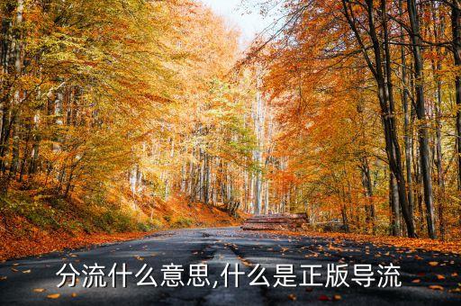 分流什么意思,什么是正版导流