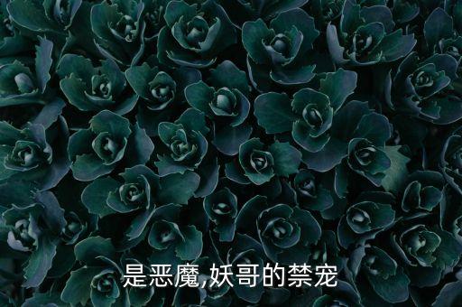 哥哥是恶魔,妖哥的禁宠