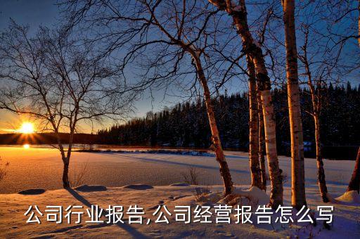 公司行业报告,公司经营报告怎么写