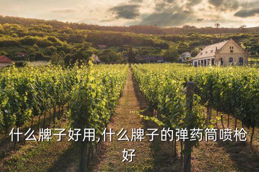 什么牌子好用,什么牌子的弹药筒喷枪好