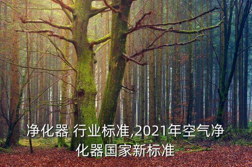 空气净化器 行业标准,2021年空气净化器国家新标准