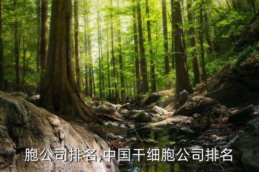 胞公司排名,中国干细胞公司排名