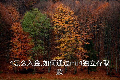 4怎么入金,如何通过mt4独立存取款