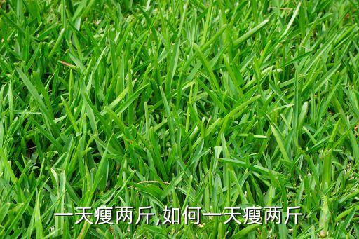 怎么一天瘦两斤,如何一天瘦两斤?