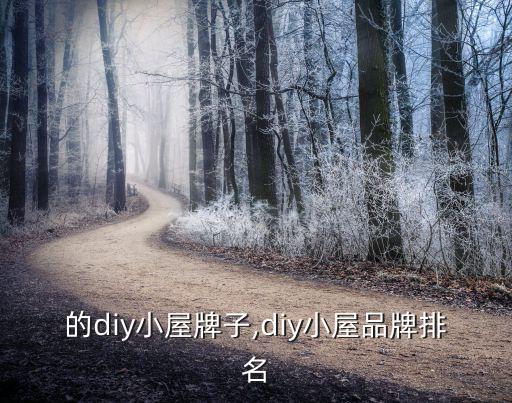 很贵的diy小屋牌子,diy小屋品牌排名