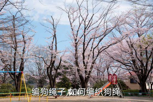 编狗绳子,如何编织狗绳