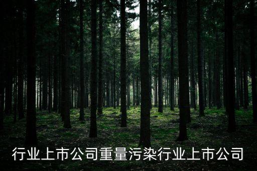 污染行业上市公司重量污染行业上市公司
