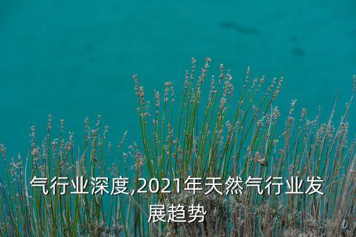 天然气行业深度,2021年天然气行业发展趋势