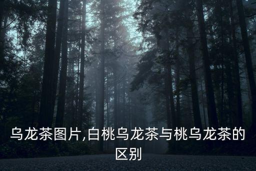 乌龙茶图片,白桃乌龙茶与桃乌龙茶的区别