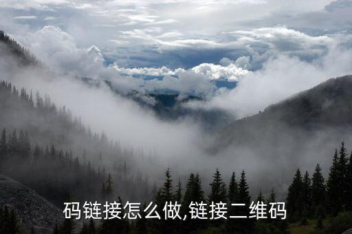 二维码链接怎么做,链接二维码