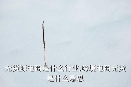 无货源电商是什么行业,跨境电商无货是什么意思