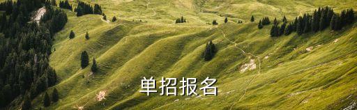 单招报名