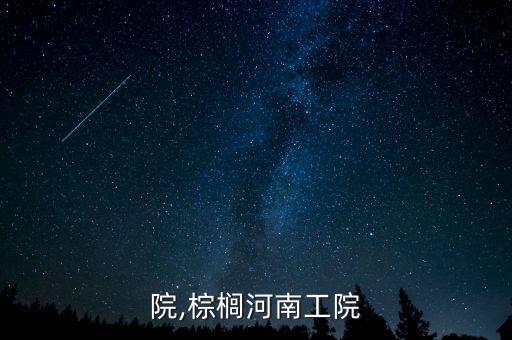 南工院,棕榈河南工院