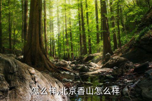 香山怎么样,北京香山怎么样?