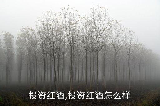 投资红酒,投资红酒怎么样