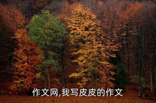 作文网,我写皮皮的作文