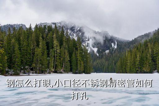 不锈钢怎么打眼,小口径不锈钢精密管如何打孔?