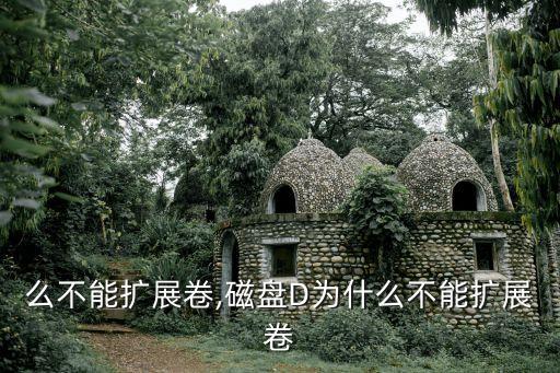 么不能扩展卷,磁盘D为什么不能扩展卷