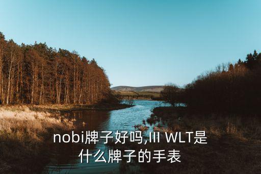 sinobi牌子好吗,III WLT是什么牌子的手表?