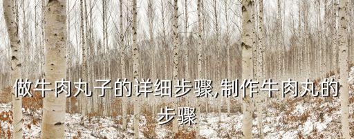 做牛肉丸子的详细步骤,制作牛肉丸的步骤