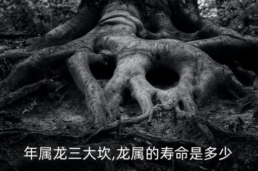 76年属龙三大坎,龙属的寿命是多少?
