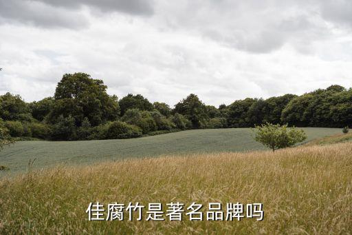 丁宇佳腐竹是著名品牌吗?