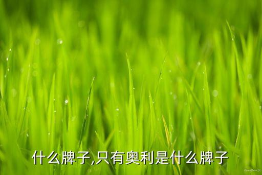 什么牌子,只有奥利是什么牌子